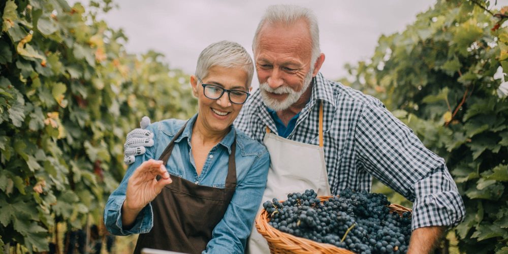 ¿Cómo hacer amigos de adulto? Los secretos para hacer verdaderos amigos